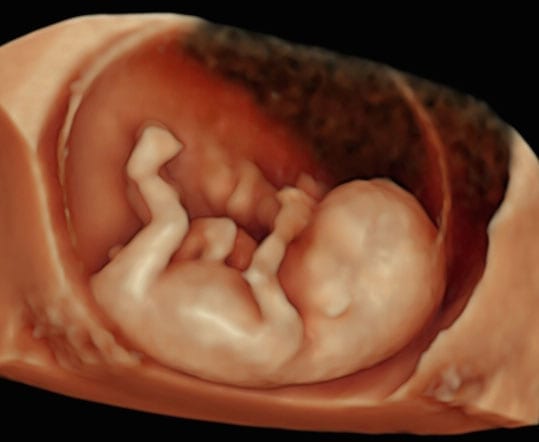 Baby’s embryological development