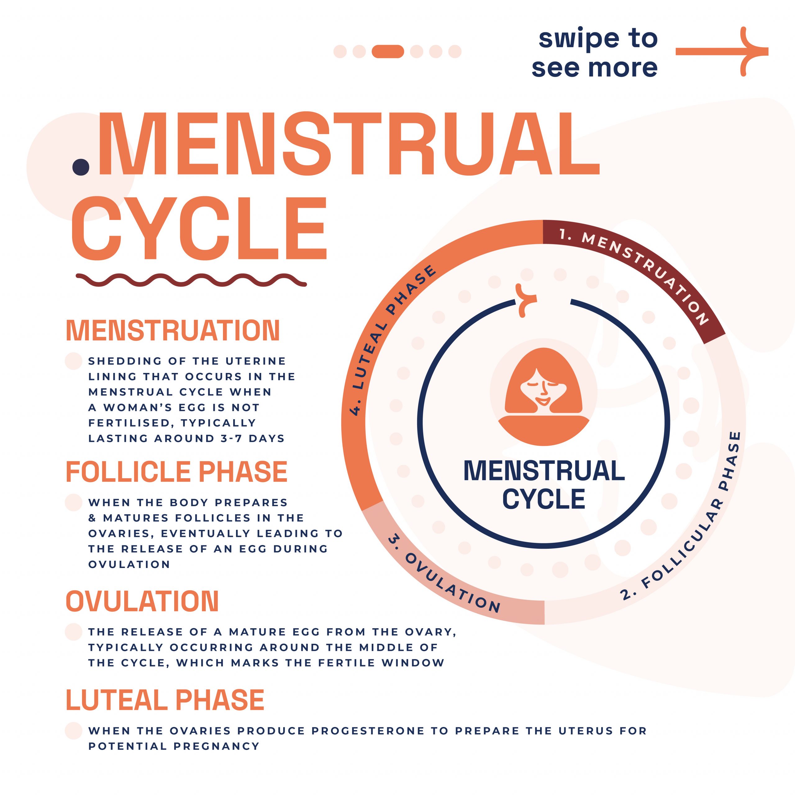 Illustration detailing the phases of the menstrual cycle as part of fertility education by London Pregnancy Clinic.